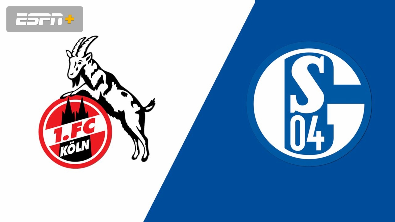 FC Koln  vs  Schalke 04  Video Highlight ngày 22/05 | Xem lại trận đấu