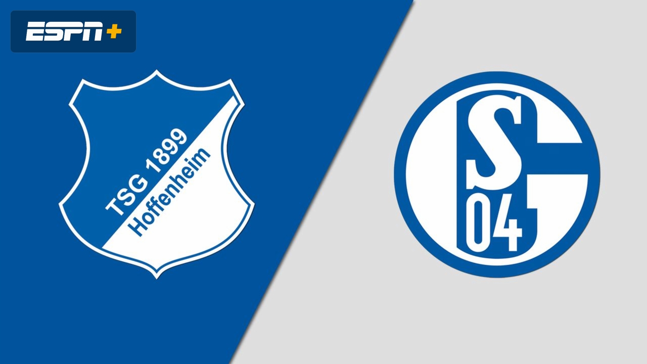 Hoffenheim  vs  Schalke 04 Video Highlight ngày 08/05 | Xem lại trận đấu