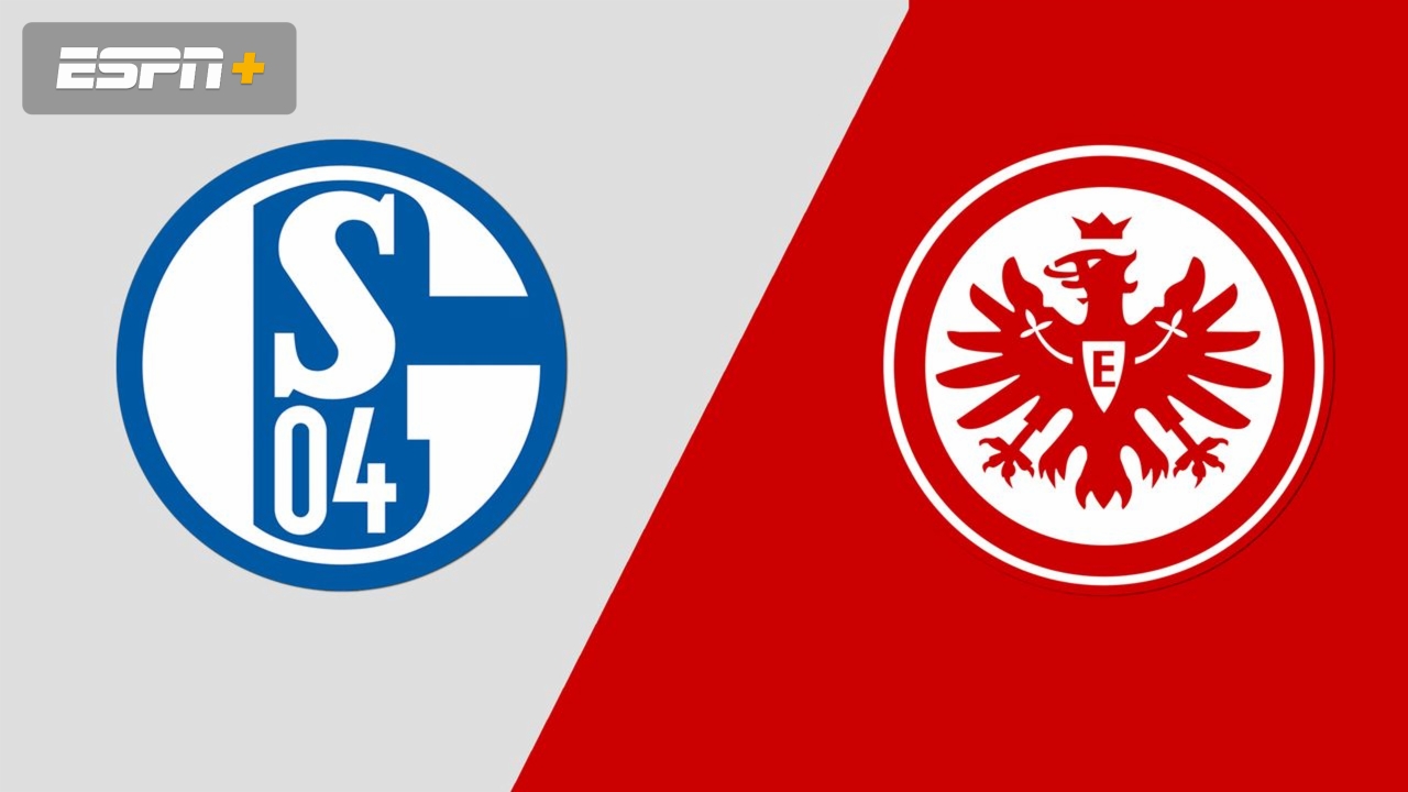 Schalke 04  vs  Eintracht Frankfurt  Video Highlight ngày 15/05 | Xem lại trận đấu