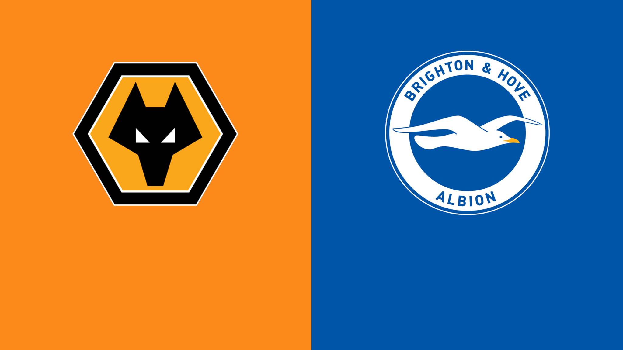 Wolves  vs  Brighton  Video Highlight ngày 09/05 | Xem lại trận đấu